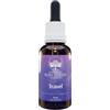 Bush Biotherapies Travel Fiori Australiani per paura dei viaggi 30 ml