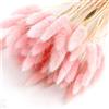 OUKEYI Decorazione per la casa Lagurus Ovatus Coda di Coniglio Fiore Essiccato, Fiore Eterno Erba Secca, Bouquet di Fiori, Materiale Naturale Puntelli di Tiro Fiori Secchi 50PCS (Rosa Chiaro)