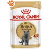 Royal Canin Cat Adult British Shorthair - Confezione da 85 Gr
