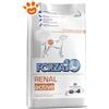Forza10 Dog Renal Active - Sacco da 4 kg