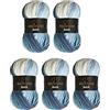 Wollbiene 5 gomitoli di lana Batik da 100 g, 500 g, con gradiente, multicolore (5500 blu, bianco)