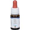 Sweet Chestnut Guna Gocce 10 Ml ml orali
