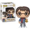 Funko Pop! Harry Potter Holiday- Figura in Vinile da Collezione - Idea Regalo - Merchandising Ufficiale - Giocattoli per Bambini e Adulti - Movies Fans - Figura da Collezione e da Esposizione