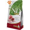 Farmina Cat N&D Prime Kitten Grain Free Pollo e Melograno - Sacco Da 5 Kg