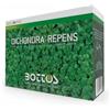 BOTTOS Sementi Zollaverde Dicondra Repens gr 500 Bottos