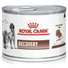 Royal canin Veterinary dog VHN Recovery 195 gr