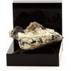 A Bijoux Dravite 146.2 Ct Minerae Dalle Di Gesso Arignac Ariège Francia Raro