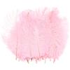 Alnicov 20 Pezzi di Piume di Struzzo Naturali 15 cm-20 cm Piume di Piume Fai da Te per la Decorazione della tavola della Festa Nuziale in casa (Rosa)