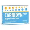 Alfasigma Carnidyn fast magnesio e potassio 20 bustine da 6g