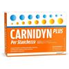 Alfasigma Carnidyn Plus 20bust Integratore per stanchezza fisica e mentale