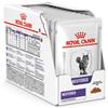 ROYAL CANIN VHN Cat Neutered Maintenance sauce 48 x 85g