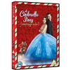 Warner Bros A Cinderella Story: A Christmas Wish [DVD] [2019]