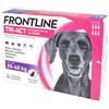 Frontline Tri-Act Spot On 6 Pipette 4ml Cani 20-40Kg