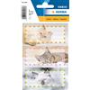 HERMA 5569 - Etichette per libri da scrivere con gatti, 6 pezzi, 76 x 35 mm, autoadesive, a righe, per scuola, bambini, ragazze, ragazzi, multicolore