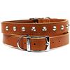 Ancol Collare Comodo e Durevole in Pelle Marrone Chiaro per addestramento Animali Domestici Accessorio 26-31 cm, Taglia 2