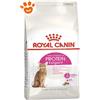 Royal Canin Cat Exigent Protein - Sacco da 400 gr