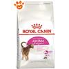 Royal Canin Cat Exigent Aroma - Sacco da 400 gr
