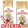 Royal Canin Cat Adult Persian - Offerta [PREZZO A CONFEZIONE] Quantità Minima 2, Sacco da 10 Kg