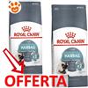 Royal Canin Cat Hairball Care - Offerta [PREZZO A CONFEZIONE] Quantità Minima 2, Sacco Da 10 Kg