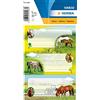 HERMA 5568 - Etichette per libri da scrivere con cavalli, 6 pezzi, 76 x 35 mm, autoadesive, a righe, per scuola, bambini, ragazze, ragazzi, multicolore