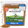 MeerBach & Rose MeerBach Animal Mehlwürmer getrocknet ? 5 Liter (800g) Futtermittel im Eimer ? der proteinreiche Snack für Wildvögel, Fische, Reptilien, Schildkröten und Igel