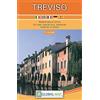 Global Map Treviso 1:10.000. Pianta della città (cm 99x67)