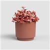 Artevasi Echo pot, Flower pot, Home decoration, 16,5cm diameter, terracotta