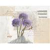Pro-Art-Bilderpalette PRO-Art ka055f5 - Dipinto murale, Arte su Tela, Touch of Beauty II, 57 x 77 cm