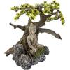 Nobby Buddha con pianta ornamentale, 32,5 x 16,5 x 21 cm