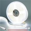 GOMING 24V COB Striscia LED Bianco Freddo 6000K 5M 312LED/M CRI 93+ Alta Densità 1560LED 4100lm Non Impermeabile IP20 Luci LED per Soggiorno Natale Bar Decorazioni(Senza Alimentazione)