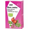 SALUS HAUS GMBH & CO KG Salus Rosa Canina - Tisana Biologica con Vitamina C - 15 Filtri
