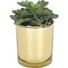 Sleepdown Halo Green Tall Artificiale Faux Plant Succulent Gold Pot per Home Office Bagno Decor Decorazione Interna Estetica