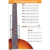 QMG Strumenti a corde per orchestra (3/4)