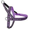 CAMON PETTORINA NEOPRENE DYNAMIC VIOLA 45 CM DC197/B