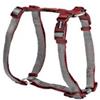 CAMON PETTORINA REGOLABILE H DOUBLE PREMIUM BICOLOR GRIGIO/ROSSO 20 X 450-750 MM DC119/T.05
