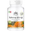 herba direkt Luteina 20mg - Microincapsulata - Per occhi - 60 Capsule - Vegan | HERBADIREKT by Warnke Vitalstoffe - Qualità da farmacia tedesca