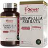Gower Health & Fitness GH Boswellia Serrata 2000 mg Capsule ad Alto Dosaggio | Estratto di Boswellia 5:1 | 240 Capsule Vegane | Integratore di Franchincenso | Non-OGM e Senza Glutine | Prodotto nel Regno Unito
