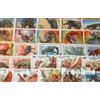 Prophila Collection Motivazioni 50 Diversi Preistorici Animali Francobolli (Francobolli per i Collezionisti) Anfibi/rettili/Dinosauro