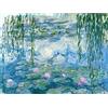 YSCOLOR Diamond Painting Claude Monet Ninfee Ricamo Mosaico Modello Wall Art Pittura Diamante Per Soggiorno Home Wall Art 30X40cm
