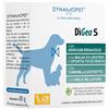 DYNAMOPET Srl DIGEA S 20 Bust.