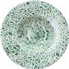 TOGNANA PORCELLANE AT001288072 (minimo 12 pezzi)