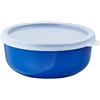 Wokex - Contenitore Per Alimenti In Plastica Con Cestello Portaoggetti Per  Frigorifero Con Maniglia Laterale