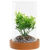 DKD Home Decor Impianto Ornamentale, Standard