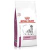 ROYAL CANIN Veterinary Diet Cardiac per cani con insufficienza cardiaca 14 kg