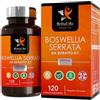BriteLife BL Boswellia | 120 Boswellia Serrata Capsule - Boswellia Serrata Capsule 2000 mg | Boswelia integratore | Non-OGM, Senza Glutine e Allergeni | Prodotto nel Regno Unito