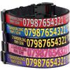 Generic Collare per cani con telefono, indirizzo e nome. Collare personalizzato per cani Scegli il colore della cinghia e del testo (tinta unita)