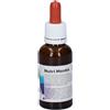 Nutri Mentis 2 30Ml 30 ml Soluzione orale