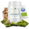 BEAUVITAL Pure Bio Polyporus capsule 120 x 500 mg polvere fungo polyporus umbellatus da agricoltura biologica UE, vegano, senza additivi artificiali