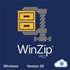 WinZip 28 PRO - 1 PC 1 Anno - Windows