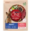 Purina One Cane Adult Mini Manzo e Riso 800G